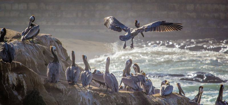 Travel and wildlife photography by Carlos Martinez (photo 16 of 40)