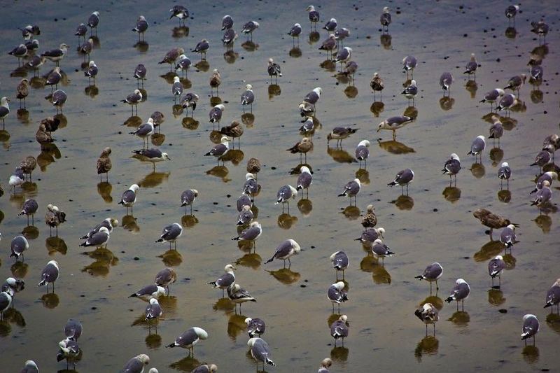 Travel and wildlife photography by Carlos Martinez (photo 25 of 40)