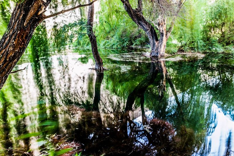 Travel and wildlife photography by Carlos Martinez (photo 39 of 40)