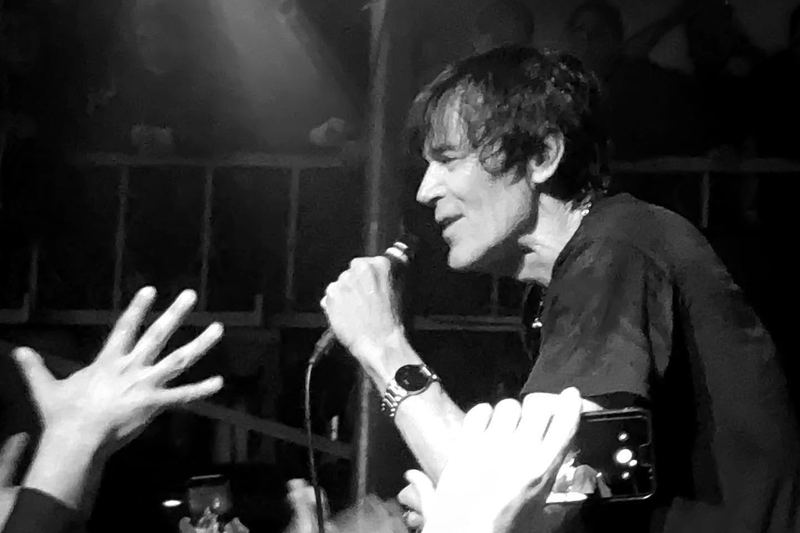 Singer performing on stage under coloured lights (photo 9 of 14)