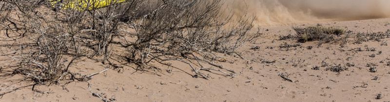 Rally raid buggy jumping over desert dunes in the Atacama, Chile (photo 30 of 36)