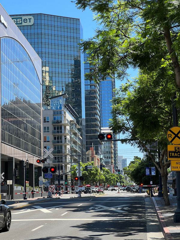 Glass residential towers and palm trees on a San Diego street under a deep blue sky (photo 1 of 7)