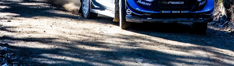 WRC Rally Chile 2019: a World Rally Car on a forest gravel stage near Concepción (photo 9 of 31)
