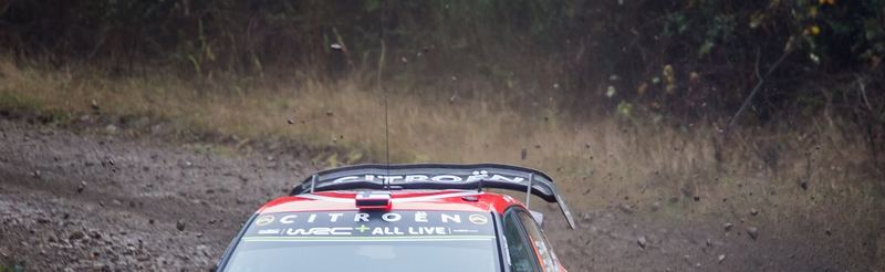 WRC Rally Chile 2019: a World Rally Car on a forest gravel stage near Concepción (photo 17 of 31)